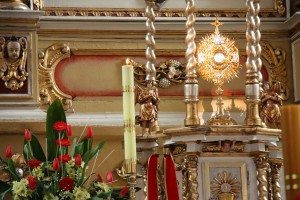 tn img 0467