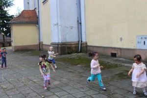 tn IMG 2881