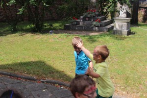 tn IMG 2886
