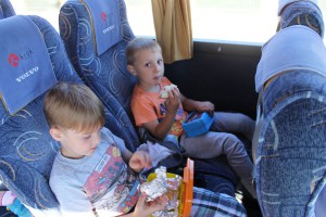 tn IMG 2911