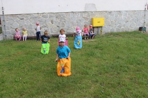 tn IMG 3203