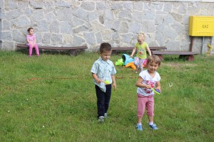 tn IMG 3238