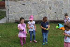 tn IMG 3259