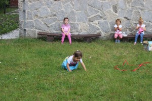 tn IMG 3299