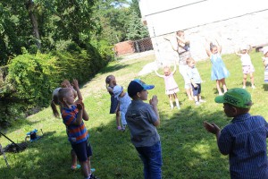 tn IMG 3417