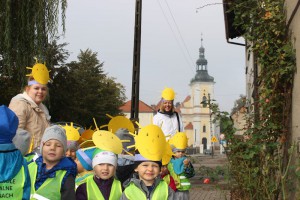 tn IMG 3869