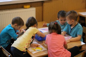 tn IMG 4855