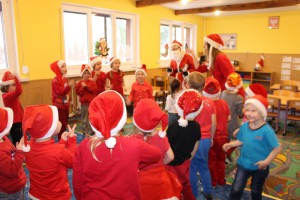 tn IMG 5028