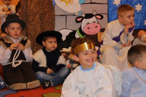 tn IMG 5131