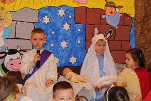 tn IMG 5136