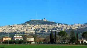 tn img 1022