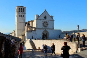 tn img 1144