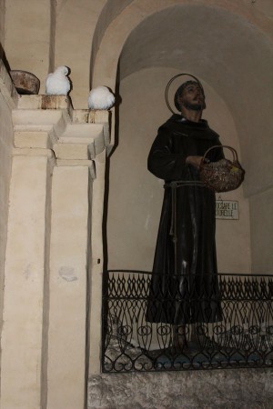 tn img 1189