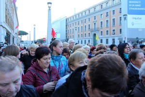 tn img 1268
