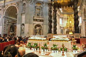 tn img 2286