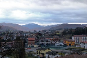 tn img 2784