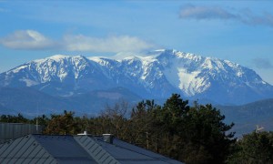 tn img 3275