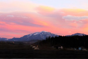 tn img 3278