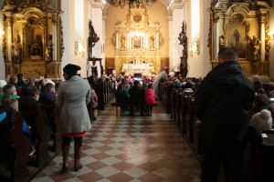 tn img 9790