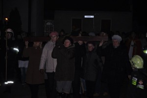 tn dsc 0011