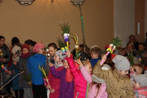 tn img 9849