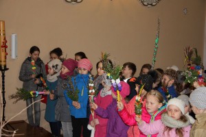 tn img 9851