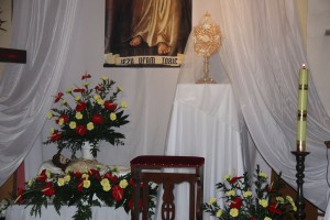 tn img 0366
