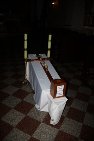 tn img 0376