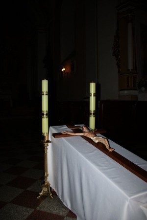tn img 0377