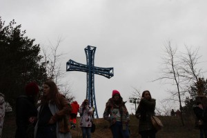 tn img 9906