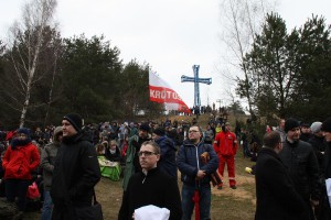 tn img 9956