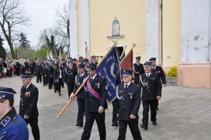 tn DSC 0337
