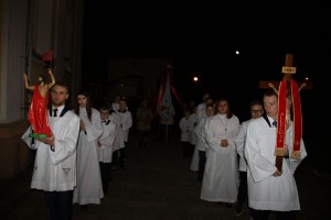 tn img 0439
