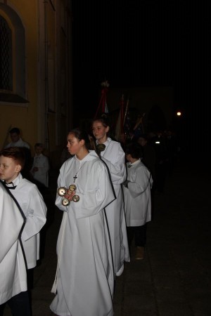 tn img 0441