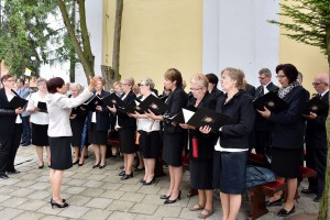 tn DSD4737