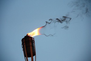 tn IMG 1259