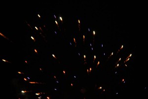 tn IMG 1392