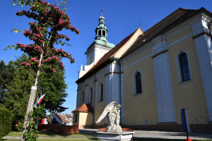 DSM 6249  2 