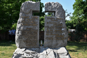 DSM 7718  2 