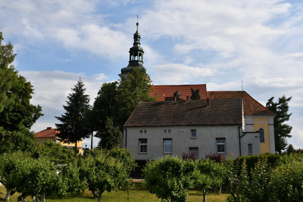 DSM 8124  3 