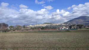 IMG 20260223 122705