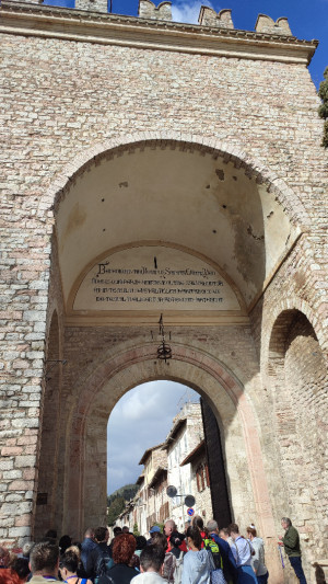 IMG 20260223 124727
