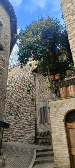 IMG 20260228 WA0150
