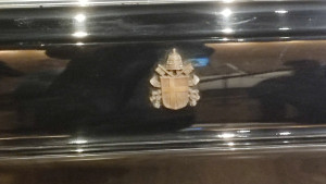 IMG 20260224 115754