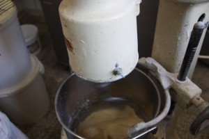 tn img 5422