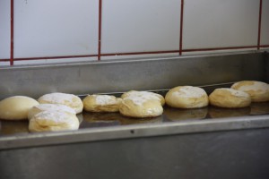 tn img 5440