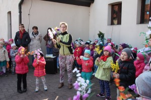 tn IMG 5631