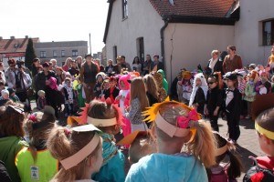tn img 6277