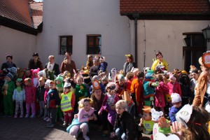 tn img 6284