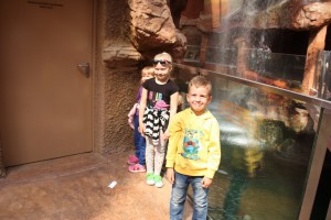 tn img 6482